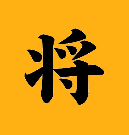 shogun method review